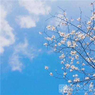 海贼之王启航无限钻石版下载