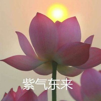 群英之战破解版下载